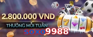 soxo9988