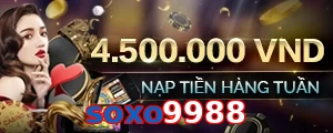 soxo9988