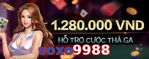 soxo9988
