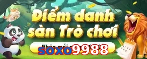 soxo9988