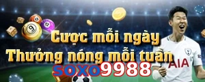 soxo9988